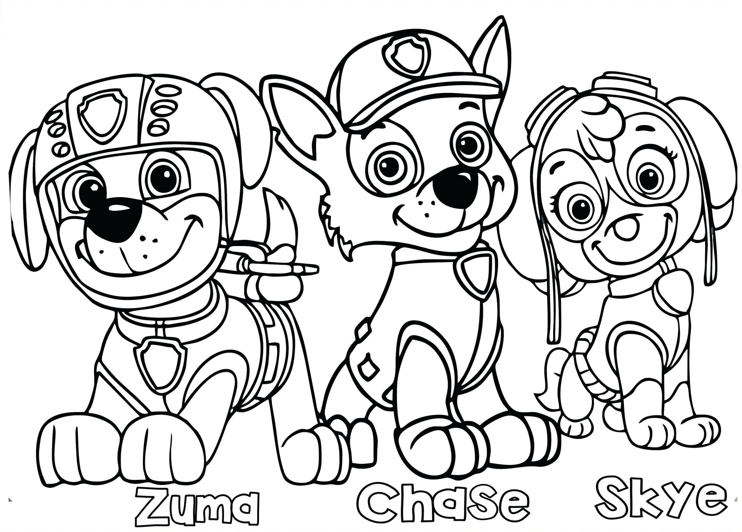 Online coloring book: Zuma, Chase and Skye coloring page